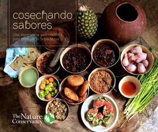 Foto:IvanLowenberg
cosechando
sabores
Una experiencia gastronómica
para proteger la Selva Maya
 