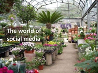The world of  social media 