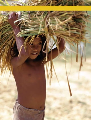 x   E C O N O M I C S O F A D A P TAT I O N T O C L I M AT E C H A N G E
 