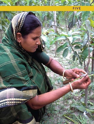 66                                                     F IV E
     E C O N O M I C S O F A D A P TAT I O N T O C L I M AT E C H A N G E
 