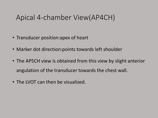 how to read echocardiography of heart.pptx