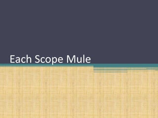 Each Scope Mule
 
