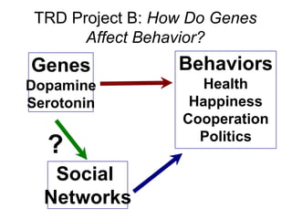 TRD Project B: How Do Genes
       Affect Behavior?
Genes             Behaviors
Dopamine             Health
Serotonin           Happiness
                   Cooperation
                     Politics
  ?
   Social
  Networks
 