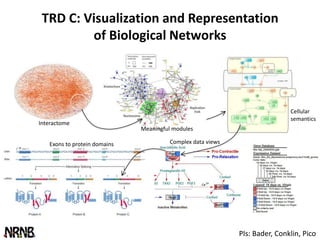 TRD C: Visualization and Representation
         of Biological Networks




                                                                            Cellular
                                                                            semantics
Interactome
                              Meaningful modules

   Exons to protein domains            Complex data views




                                                            PIs: Bader, Conklin, Pico
 