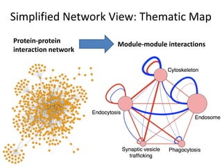 Simplified Network View: Thematic Map
Protein-protein       Module-module interactions
interaction network
 