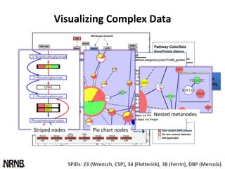 Visualizing Complex Data




                                                                  Multiple timepoints
                                                                viewed simultaneously




                                                      Nested metanodes

Striped nodes              Pie chart nodes




                SPIDs: 23 (Wrensch, CSP), 34 (Fletterick), 38 (Ferrin), DBP (Mercola)
 