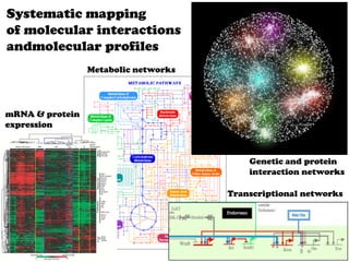 Systematic mapping
of molecular interactions
andmolecular profiles
                 Metabolic networks




mRNA & protein
expression



                                          Genetic and protein
                                          interaction networks

                                      Transcriptional networks
 