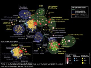 MHC-I                 Cell Projection
                                        Microtubule                                                                                                                  Edge type (gene-set overlap)
                                                                                                             & Cell Motility
                                        Cytoskeleton                                                                                                                        Between gene-sets
                                                               Centrosome                                                                                                   enriched in deletions
                                                                                                                                                                            From disease genes
                                                                                                              Membrane                                                      to enriched gene-sets
                                                                                                                                                                            Between sets enriched in
                          Nucleolus                                                                                                                                         deletions and in disease
                                                                                                                                                                            genes or between disease
     SMC flexible hinge domain                                                         Cell Motility                                                                        sets only
                                                                                       (stricter cluster)           Cell Proliferation
Urea and amine group metabolism                                                                                     Positive regulation of cell proliferation
               Cell cycle             Intellectual
     Regulation of                     Disability                                                                  Regulation of cell proliferation
    hormone levels
           Aminoacid                                                                                         Behavior
           derivative /
             amine                                                                                                          Organ Morphogenesis
           metabolism
                                                                                                                        Vasculature develepment
                                                               CNS Development                                                 Palate develepment

                           Glycosylation                                                           Autism                                                 Kinase Activity/Regulation
                                                         LIS1 in neuronal                                                   Heart develepment
                   Synaptic vescicle maturation           migration and
                                                           development                                           Regulation of GTPase
                                   Reelin pathway                                                            RHO Ras                                                 Tyrosin kinase

Zoom of CNS-Development                                                Adhesion
                                                                                                Carboxyl
                      Cell projection Neuron                                  Zn finger         esterase
                      organization    migration                                                 domain
                                                                               domain
                                          Cell morphogenesis                                                                               Kinase regulation
         Cerebral cortex
          cell migration                                                                                    Ras signaling     GTPase regulator
                                                                        Negative                       cKIT
                                                                       regulation         mTor        pathway                      GTPase/Ras
 Neurite development                              Cell Motility        of cell cycle     pathway                                   Signaling Node type (gene-set)
                                                  (stricter cluster)
      CNS neuron                                                                                                                                      Enriched         Known           Enriched only
                                               Brain                                                                                                  in deletions     disease genes   in disease genes
      differentiation
                                            development                                                                                                      0%              ID              ID
           Axonogenesis
                             CNS         Projection neuron
                          development                                                                                                                        FDR             ASD             ASD
                                           axonogenesis
                                                                                                                                                             12.5%                           Both
Pinto et al. Functional impact of global rare copy number variation in autism
spectrum disorders. Nature. 2010 Jun 9.
 