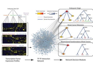 NRNB EAC Report 2011