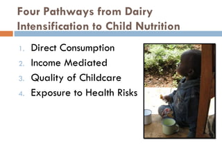 Dairy intensification, gender and child nutrition: Preliminary impressions