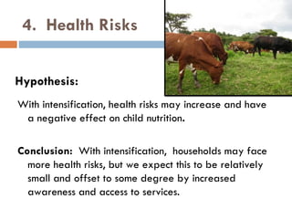 Dairy intensification, gender and child nutrition: Preliminary impressions