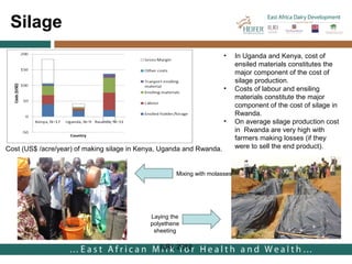 Costs and benefits analysis of feed technologies promoted by the East Africa Dairy Development Project (EADD): Study conducted in Rwanda, Uganda and Kenya