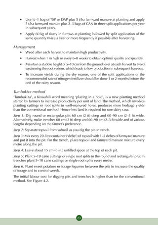 •	 Use ½–1 bag of TSP or DAP plus 5 t/ha farmyard manure at planting and apply
       5 t/ha farmyard manure plus 2–3 bags of CAN in three split applications per year
       in subsequent years.
    •	 Apply 60 kg of slurry in furrows at planting followed by split application of the
       same quantity twice a year or more frequently if possible after harvesting.

Management
    •	 Weed after each harvest to maintain high productivity.
    •	 Harvest when 1 m high or every 6–8 weeks to obtain optimal quality and quantity.
    •	 Maintain a stubble height of 5–10 cm from the ground level at each harvest to avoid
       weakening the root system, which leads to low production in subsequent harvests.
    •	 To increase yields during the dry season, one of the split applications of the
       recommended rate of nitrogen fertilizer should be done 1 or 2 months before the
       end of the rainy season.

Tumbukiza method
‘Tumbukiza’, a Kiswahili word meaning ‘placing in a hole’, is a new planting method
started by farmers to increase productivity per unit of land. The method, which involves
planting cuttings or root splits in well-manured holes, produces more herbage yields
than the conventional method. Hence less land is required for one dairy cow.
Step 1: Dig round or rectangular pits 60 cm (2 ft) deep and 60–90 cm (2–3 ft) wide.
Alternatively, make trenches 60 cm (2 ft) deep and 60–90 cm (2–3 ft) wide and of various
lengths depending on the farmer’s preference.
Step 2: Separate topsoil from subsoil as you dig the pit or trench.
Step 3: Mix every 20-litre container (‘debe’) of topsoil with 1–2 debes of farmyard manure
and put it into the pit. For the trench, place topsoil and farmyard manure mixture every
metre along the pit.
Step 4: Leave about 15 cm (6 in.) unfilled space at the top of each pit.
Step 5: Plant 5–10 cane cuttings or single root splits in the round and rectangular pits. In
trenches plant 5–10 cane cuttings or single root splits every metre.
Step 6: Plant sweet potatoes or forage legumes between the pits to increase the quality
of forage and to control weeds.
The initial labour cost for digging pits and trenches is higher than for the conventional
method. See Figure 4.2.




                                            23
 