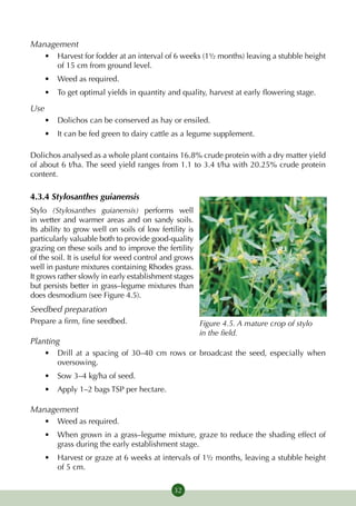 Management
    •	 Harvest for fodder at an interval of 6 weeks (1½ months) leaving a stubble height
       of 15 cm from ground level.
    •	 Weed as required.
    •	 To get optimal yields in quantity and quality, harvest at early flowering stage.

Use
    •	 Dolichos can be conserved as hay or ensiled.
    •	 It can be fed green to dairy cattle as a legume supplement.

Dolichos analysed as a whole plant contains 16.8% crude protein with a dry matter yield
of about 6 t/ha. The seed yield ranges from 1.1 to 3.4 t/ha with 20.25% crude protein
content.

4.3.4 Stylosanthes guianensis
Stylo (Stylosanthes guianensis) performs well
in wetter and warmer areas and on sandy soils.
Its ability to grow well on soils of low fertility is
particularly valuable both to provide good-quality
grazing on these soils and to improve the fertility
of the soil. It is useful for weed control and grows
well in pasture mixtures containing Rhodes grass.
It grows rather slowly in early establishment stages
but persists better in grass–legume mixtures than
does desmodium (see Figure 4.5).
Seedbed preparation
Prepare a firm, fine seedbed.                           Figure 4.5. A mature crop of stylo
                                                        in the field.
Planting
    •	 Drill at a spacing of 30–40 cm rows or broadcast the seed, especially when
       oversowing.
    •	 Sow 3–4 kg/ha of seed.
    •	 Apply 1–2 bags TSP per hectare.

Management
    •	 Weed as required.
    •	 When grown in a grass–legume mixture, graze to reduce the shading effect of
       grass during the early establishment stage.
    •	 Harvest or graze at 6 weeks at intervals of 1½ months, leaving a stubble height
       of 5 cm.

                                              32
 