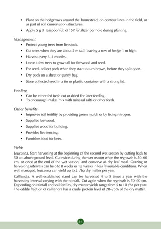 •	 Plant on the hedgerows around the homestead, on contour lines in the field, or
       as part of soil conservation structures.
    •	 Apply 5 g (1 teaspoonful) of TSP fertilizer per hole during planting.

Management
    •	 Protect young trees from livestock.
    •	 Cut trees when they are about 2 m tall, leaving a row of hedge 1 m high.
    •	 Harvest every 3–4 months.
    •	 Leave a few trees to grow tall for firewood and seed.
    •	 For seed, collect pods when they start to turn brown, before they split open.
    •	 Dry pods on a sheet or gunny bag.
    •	 Store collected seed in a tin or plastic container with a strong lid.

Feeding
    •	 Can be either fed fresh cut or dried for later feeding.
    •	 To encourage intake, mix with mineral salts or other feeds.

Other benefits
    •	 Improves soil fertility by providing green mulch or by fixing nitrogen.
    •	 Supplies fuelwood.
    •	 Supplies wood for building.
    •	 Provides live fencing.
    •	 Furnishes food for bees.

Yields
Leucaena. Start harvesting at the beginning of the second wet season by cutting back to
50 cm above ground level. Cut twice during the wet season when the regrowth is 50–60
cm, or once at the end of the wet season, and conserve as dry leaf meal. Grazing or
harvesting intervals can be 6 to 8 weeks or 12 weeks in less favourable conditions. When
well managed, leucaena can yield up to 2 t/ha dry matter per year.
Calliandra. A well-established stand can be harvested 4 to 5 times a year with the
harvesting interval varying with the rainfall. Cut again when the regrowth is 50–60 cm.
Depending on rainfall and soil fertility, dry matter yields range from 5 to 10 t/ha per year.
The edible fraction of calliandra has a crude protein level of 20–25% of the dry matter.




                                             34
 