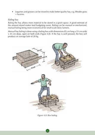 •	 Legumes and grasses can be mixed to make better-quality hay, e.g. Rhodes grass
       + lucerne.

Baling hay
Baling the hay allows more material to be stored in a given space. A good estimate of
the amount stored makes feed budgeting easier. Baling can be manual or mechanized,
manual baling being more economical for small-scale dairy farmers.
Manual hay baling is done using a baling box with dimensions 85 cm long x 55 cm wide
x 45 cm deep, open on both ends (Figure 4.8). If the hay is well pressed, the box will
produce an average bale of 20 kg.




                                Figure 4.8. Box baling.




                                          36
 