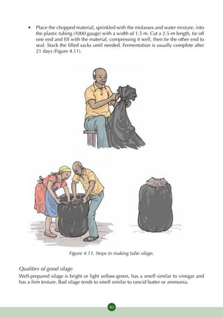 •	 Place the chopped material, sprinkled with the molasses and water mixture, into
       the plastic tubing (1000 gauge) with a width of 1.5 m. Cut a 2.5-m length, tie off
       one end and fill with the material, compressing it well, then tie the other end to
       seal. Stack the filled sacks until needed. Fermentation is usually complete after
       21 days (Figure 4.11).




                       Figure 4.11. Steps in making tube silage.


Qualities of good silage
Well-prepared silage is bright or light yellow-green, has a smell similar to vinegar and
has a firm texture. Bad silage tends to smell similar to rancid butter or ammonia.




                                           40
 