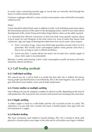 to avoid calves consuming parasite eggs or larvae that are normally shed through the
faeces of adult animals onto pastures.
Common roughages offered to calves include sweet potato vines and freshly harvested,
wilted lucerne.

Water
Calves should be offered fresh water in addition to milk. Lack of drinking water slows down
the fermentation process of the starter in the developing rumen, which in turn slows down
development of the rumen lining and it takes longer before calves can be safely weaned.
It is estimated that efficient conversion of feed into body mass growth requires about
4 kg of water for each kilogram of dry feed calves eat. Lack of water thus lowers feed
conversion. Age and stage of development determine how much water calves require:
    •	 From 1 to 6 days of age, calves may drink large quantities of water when it is first
       presented. This novelty water consumption pattern rarely persists more than a
       day or two as long as water is offered ad libitum.
    •	 Calves less than 3 weeks old do not need a lot of water but a steady supply of
       clean, fresh water is recommended.
Between 3 weeks and weaning, calves’ water consumption usually increases and water
should be offered ad libitum.


6.2 Calf feeding methods
6.2.1 Individual suckling
The natural way for a calf to feed is to suckle the dam after she is milked, the farmer
having made sure that the dam is not milked dry. This is the most hygienic way as the calf
gets milk direct from mother, clean and at body temperature.

6.2.2 Foster mother or multiple suckling
One milking cow may be assigned a number of calves to suckle, depending on the level of
milk production. This is practical only on farms with several cows lactating at the same time.

6.2.3 Nipple suckling
A rubber nipple is fixed on a milk bottle and the calf is trained on how to suckle. The
alternative is to put milk into a bucket and insert a flexible plastic hose pipe with one
end attached to a nipple.

6.2.4 Bucket feeding
The most commonly used method is bucket feeding. The calf is trained to drink milk
placed in a bucket (place your finger in the milk and as calf suckles your finger it imbibes


                                             56
 