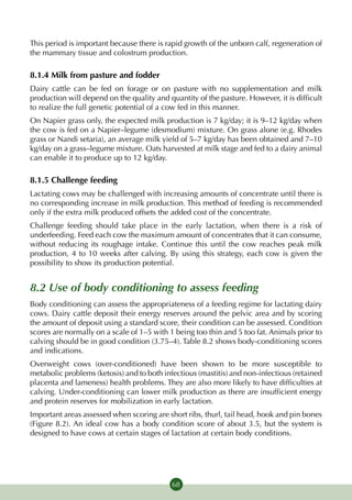 This period is important because there is rapid growth of the unborn calf, regeneration of
the mammary tissue and colostrum production.

8.1.4 Milk from pasture and fodder
Dairy cattle can be fed on forage or on pasture with no supplementation and milk
production will depend on the quality and quantity of the pasture. However, it is difficult
to realize the full genetic potential of a cow fed in this manner.
On Napier grass only, the expected milk production is 7 kg/day; it is 9–12 kg/day when
the cow is fed on a Napier–legume (desmodium) mixture. On grass alone (e.g. Rhodes
grass or Nandi setaria), an average milk yield of 5–7 kg/day has been obtained and 7–10
kg/day on a grass–legume mixture. Oats harvested at milk stage and fed to a dairy animal
can enable it to produce up to 12 kg/day.

8.1.5 Challenge feeding
Lactating cows may be challenged with increasing amounts of concentrate until there is
no corresponding increase in milk production. This method of feeding is recommended
only if the extra milk produced offsets the added cost of the concentrate.
Challenge feeding should take place in the early lactation, when there is a risk of
underfeeding. Feed each cow the maximum amount of concentrates that it can consume,
without reducing its roughage intake. Continue this until the cow reaches peak milk
production, 4 to 10 weeks after calving. By using this strategy, each cow is given the
possibility to show its production potential.


8.2 Use of body conditioning to assess feeding
Body conditioning can assess the appropriateness of a feeding regime for lactating dairy
cows. Dairy cattle deposit their energy reserves around the pelvic area and by scoring
the amount of deposit using a standard score, their condition can be assessed. Condition
scores are normally on a scale of 1–5 with 1 being too thin and 5 too fat. Animals prior to
calving should be in good condition (3.75–4). Table 8.2 shows body-conditioning scores
and indications.
Overweight cows (over-conditioned) have been shown to be more susceptible to
metabolic problems (ketosis) and to both infectious (mastitis) and non-infectious (retained
placenta and lameness) health problems. They are also more likely to have difficulties at
calving. Under-conditioning can lower milk production as there are insufficient energy
and protein reserves for mobilization in early lactation.
Important areas assessed when scoring are short ribs, thurl, tail head, hook and pin bones
(Figure 8.2). An ideal cow has a body condition score of about 3.5, but the system is
designed to have cows at certain stages of lactation at certain body conditions.




                                            68
 