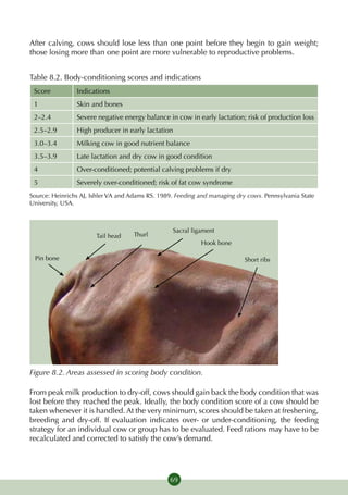 After calving, cows should lose less than one point before they begin to gain weight;
those losing more than one point are more vulnerable to reproductive problems.


Table 8.2. Body-conditioning scores and indications
 Score          Indications
 1              Skin and bones
 2–2.4          Severe negative energy balance in cow in early lactation; risk of production loss
 2.5–2.9        High producer in early lactation
 3.0–3.4        Milking cow in good nutrient balance
 3.5–3.9        Late lactation and dry cow in good condition
 4              Over-conditioned; potential calving problems if dry
 5              Severely over-conditioned; risk of fat cow syndrome
Source: Heinrichs AJ, Ishler VA and Adams RS. 1989. Feeding and managing dry cows. Pennsylvania State
University, USA.



                                                  Sacral ligament
                       Tail head    Thurl
                                                            Hook bone

 Pin bone                                                                   Short ribs




Figure 8.2. Areas assessed in scoring body condition.

From peak milk production to dry-off, cows should gain back the body condition that was
lost before they reached the peak. Ideally, the body condition score of a cow should be
taken whenever it is handled. At the very minimum, scores should be taken at freshening,
breeding and dry-off. If evaluation indicates over- or under-conditioning, the feeding
strategy for an individu­ l cow or group has to be evaluated. Feed rations may have to be
                        a
recalculated and corrected to satisfy the cow’s demand.




                                                 69
 