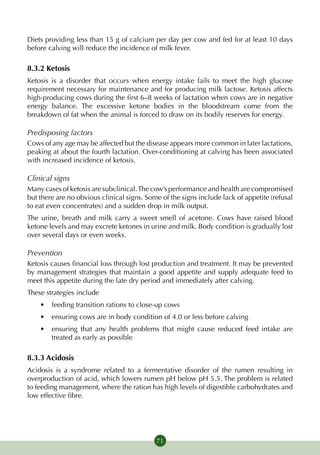 Diets providing less than 15 g of calcium per day per cow and fed for at least 10 days
before calving will reduce the incidence of milk fever.

8.3.2 Ketosis
Ketosis is a disorder that occurs when energy intake fails to meet the high glucose
requirement necessary for maintenance and for producing milk lactose. Ketosis affects
high-producing cows during the first 6–8 weeks of lactation when cows are in negative
energy balance. The excessive ketone bodies in the bloodstream come from the
breakdown of fat when the animal is forced to draw on its bodily reserves for energy.

Predisposing factors
Cows of any age may be affected but the disease appears more common in later lactations,
peaking at about the fourth lactation. Over-conditioning at calving has been associated
with increased incidence of ketosis.

Clinical signs
Many cases of ketosis are subclinical. The cow’s performance and health are compromised
but there are no obvious clinical signs. Some of the signs include lack of appetite (refusal
to eat even concentrates) and a sudden drop in milk output.
The urine, breath and milk carry a sweet smell of acetone. Cows have raised blood
ketone levels and may excrete ketones in urine and milk. Body condition is gradually lost
over several days or even weeks.

Prevention
Ketosis causes financial loss through lost production and treatment. It may be prevented
by management strategies that maintain a good appetite and supply adequate feed to
meet this appetite during the late dry period and immediately after calving.
These strategies include
    •	 feeding transition rations to close-up cows
    •	 ensuring cows are in body condition of 4.0 or less before calving
    •	 ensuring that any health problems that might cause reduced feed intake are
       treated as early as possible

8.3.3 Acidosis
Acidosis is a syndrome related to a fermentative disorder of the rumen resulting in
overproduction of acid, which lowers rumen pH below pH 5.5. The problem is related
to feeding management, where the ration has high levels of digestible carbohydrates and
low effective fibre.




                                            71
 