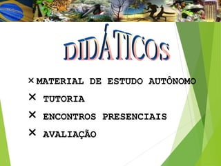 MATERIAL DE ESTUDO AUTÔNOMO
 TUTORIA
 ENCONTROS PRESENCIAIS
 AVALIAÇÃO
 