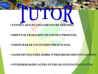 • ESTIMULAR O PLANEJAMENTO DE ESTUDOS;
• ORIENTAR TRABALHOS PRÁTICOS E PROJETOS;
• PARTICIPAR DE ENCONTROS PRESENCIAIS;
• FAZER DEVOLUÇÕES SOBRE O PROGRESSO DOS ESTUDANTES;
• INTERMEDIAR RELAÇÕES ENTRE OS ESTUDANTES E O CED.
 