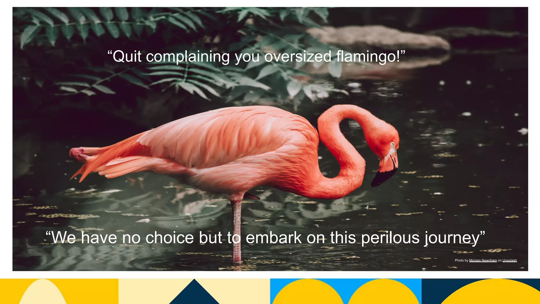 Photo by Morgan Newnham on Unsplash
“Quit complaining you oversized flamingo!”
“We have no choice but to embark on this perilous journey”
 