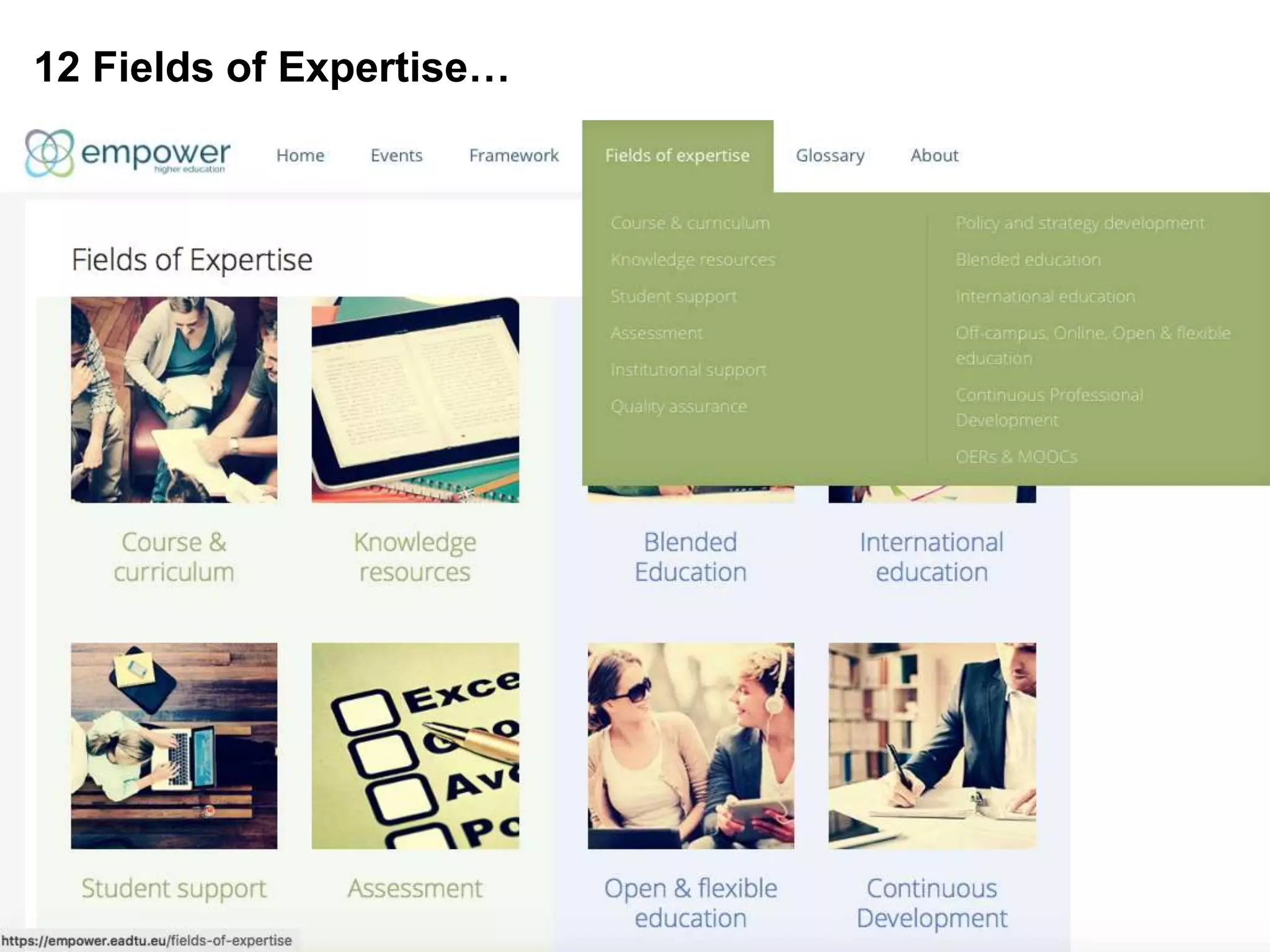 12 Fields of Expertise…
 