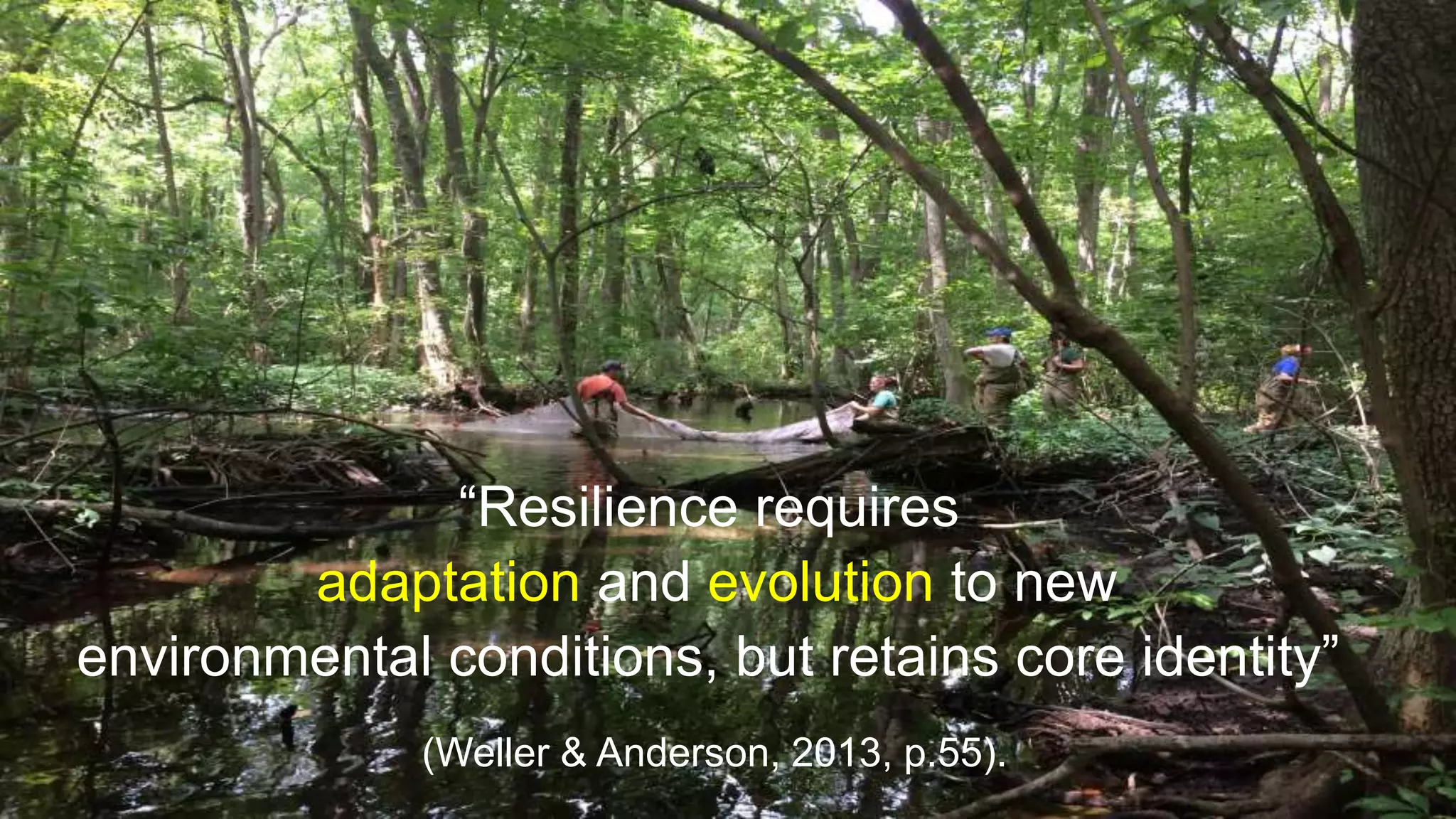 Digital Transformation and Innovation in Education: Embracing a New ...