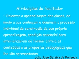 Orientar a aprendizagem dos alunos, de modo a que conheçam e domínem o processo individual de construção da sua própria aprendizagem, condição essencial para interiorizarem de formar crítica os conteúdos e as propostas pedagógicas que lhe são apresentados. Atribuições do faciltador João José Saraiva da Fonseca 