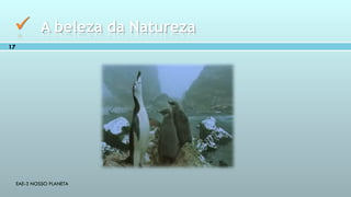 EAE-3 NOSSO PLANETA
17
 A beleza da Natureza
 