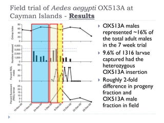 Field trial of Aedes aegypti OX513A at
Cayman Islands - Results
 OX513A males
represented ~16% of
the total adult males
in the 7 week trial
 9.6% of 1316 larvae
captured had the
heterozygous
OX513A insertion
 Roughly 2-fold
difference in progeny
fraction and
OX513A male
fraction in field
 