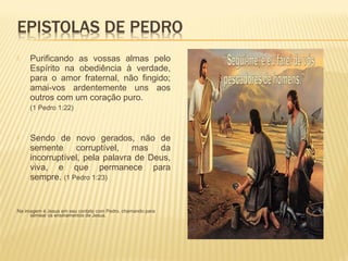  Purificando as vossas almas pelo
Espírito na obediência à verdade,
para o amor fraternal, não fingido;
amai-vos ardentemente uns aos
outros com um coração puro.
(1 Pedro 1:22)
 Sendo de novo gerados, não de
semente corruptível, mas da
incorruptível, pela palavra de Deus,
viva, e que permanece para
sempre. (1 Pedro 1:23)
Na imagem é Jesus em seu contato com Pedro, chamando para
semear os ensinamentos de Jesus.
 