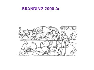 BRANDING 2000 Ac
 