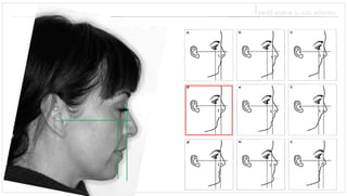 ⎪profilanalysen. a.m. schwarz  