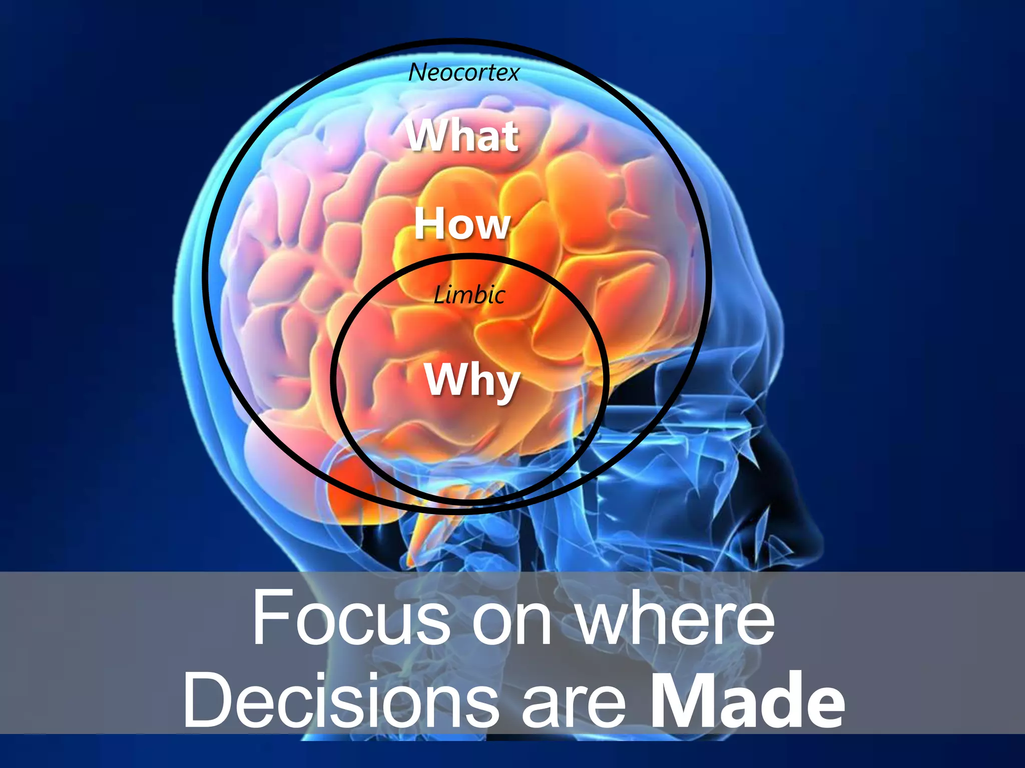 Neocortex

      What
      How
        Limbic


       Why




 Focus on where
Decisions are Made
 