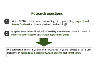 Research questions
1 Are REDD+ initiatives succeeding in promoting agricultural
intensification (i.e., increase in land pr...