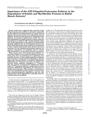 Importance of the ATP-Ubiquitin-Proteasome Pathway in the
Degradation of Soluble and Myofibrillar Proteins in Rabbit
Muscle Extracts*
(Received for publication, February 26, 1996, and in revised form, July 12, 1996)
Vered Solomon and Alfred L. Goldberg‡
From the Department of Cell Biology, Harvard Medical School, Boston, Massachusetts 02115
Recent studies have suggested that activation of the
ubiquitin-proteasome pathway is primarily responsible
for the rapid loss of muscle proteins in various types of
atrophy. The present studies were undertaken to test if
different classes of muscle proteins are degraded by this
pathway. In extracts of rabbit psoas muscle, the com-
plete degradation of soluble proteins to amino acids was
stimulated up to 6-fold by ATP. Peptide aldehyde inhib-
itors of the proteasome or the removal of proteasomes
markedly inhibited only the ATP-dependent process. Ad-
dition of purified myosin, actin, troponin, or tropomyosin
to these extracts showed that these proteins served as
substrates for the ubiquitin-proteasome pathway. By
contrast, degradation of myoglobin did not require
ATP, proteasomes, or any known proteases in muscles.
When myosin, actin, and troponin were added as ac-
tomyosin complexes or as intact myofibrils to these ex-
tracts, they were not hydrolyzed at a significant rate,
probably because in these multicomponent complexes,
these proteins are protected from degradation. Accord-
ingly, actin (but not albumin or troponin) inhibited the
degradation of 125
I-myosin, and actin was found to se-
lectively inhibit ubiquitin conjugation to 125
I-myosin.
Also, the presence of tropomyosin inhibited the degra-
dation of 125
I-troponin. However, neither actin nor tro-
pomyosin inhibited the degradation of 125
I-lysozyme or
soluble muscle proteins. Thus, specific interactions be-
tween the myofibrillar proteins appear to protect them
from ubiquitin-dependent degradation, and the rate-
limiting step in their degradation is probably their dis-
sociation from the myofibril.
In both eukaryotic and prokaryotic cells, the degradation of
most proteins requires ATP (1, 2). In eukaryotes, this energy
requirement is primarily due to the ATP-requiring proteolytic
system, involving the polypeptide cofactor ubiquitin (Ub),1
and
the proteasome (3–5). In this pathway, protein substrates are
initially conjugated covalently to Ub by an ATP-requiring proc-
ess (4, 5). This modification marks the proteins for rapid deg-
radation by the ATP-dependent 26 S (2000 kDa) proteasome
complex (6, 7). The proteolytic core of this large structure is the
20 S proteasome, which contains multiple peptidase activities.
Ub conjugation is believed to be the rate-limiting step in this
pathway (3, 5), in which most substrates are completely hydro-
lyzed to free amino acids. It has generally been believed that
the primary role of this pathway is to degrade abnormal pro-
teins and short-lived regulatory components (8, 9). However,
recent studies using proteasome inhibitors (10) and earlier
ones involving ATP depletion (1) suggest that this pathway also
catalyzes the breakdown of most long-lived proteins in cultured
mammalian cells. In addition, various studies of isolated skel-
etal muscles suggest that the rapid loss of muscle protein in
fasting (11–13), denervation atrophy (11, 13), sepsis (15),2
met-
abolic acidosis (16), and cancer cachexia (17, 18) is primarily
due to activation of the Ub-proteasome pathway.
In addition to the Ub-proteasome system, skeletal muscles
contain at least three other proteolytic systems that can con-
tribute to intracellular proteolysis. 1) Lysosomal proteases are
responsible for degradation of endocytosed proteins and many
membrane proteins (19–21). 2) A still poorly defined nonlyso-
somal degradative system that functions independently of ATP
(1, 22). In red blood cells, this system appears to be responsible
for the rapid degradation of oxidatively damaged hemoglobins
(23, 24). However, there is conflicting evidence whether this
process involves the proteasome (25) or a distinct proteolytic
system (26), such as the insulin-degrading enzyme (27). 3) The
cytosol also contains two Ca2ϩ
-activated proteases, calpain-␮
and -m, whose in vivo function in normal cells remains un-
clear (28). The precise roles of all these degradative systems
in the breakdown of different muscle proteins are yet to be
determined.
Knowledge about the physiological importance of the Ub-
proteasome pathway in mammals has advanced slowly largely
because of the lack of effective inhibitors. Recently, competitive
inhibitors of the 20 S proteasome that block protein degrada-
tion in intact cells have been identified (6, 10). For example,
certain peptide aldehydes (e.g. Cbz-Leu-Leu-leucinal, MG132)
inhibit the chymotryptic and peptidylglutamyl peptidase activ-
ities (10), and thereby reduce the degradation of Ub-conjugated
proteins. In lymphoblasts, these agents reduce the degradation
of the bulk of cell proteins and similarly inhibit the breakdown
of short- and long-lived proteins (10). The system that degrades
the long-lived contractile proteins of the myofibrils had long
been unclear. Recently, proteasome inhibitors have been shown
to decrease the overall proteolysis in incubated rat muscles and
especially the enhanced degradation characteristic of atrophy-
ing muscles, in which breakdown of myofibrillar proteins is
accelerated (29).3
* This work was supported by grants from the NINDS, National
Institutes of Health and the Muscular Dystrophy Association (to A. L.
G.). The costs of publication of this article were defrayed in part by the
payment of page charges. This article must therefore be hereby marked
“advertisement” in accordance with 18 U.S.C. Section 1734 solely to
indicate this fact.
‡ To whom correspondence should be addressed: Dept. of Cell Biology,
Harvard Medical School, Boston, MA 02115. Tel.: 617-432-1855; Fax:
617-232-0173.
1
The abbreviations used are: Ub, ubiquitin; ATP␥S, adenosine 5Ј-O-
(3-thiotriphosphate); GST, glutathione S-transferase; DTT, dithiothre-
itol; PMSF, phenylmethylsulfonyl fluoride; BSA, bovine serum albu-
min; Cbz-, benzyloxycarbonyl.
2
D. Attaix and A. L. Goldberg, submitted for publication.
3
N. Tawa, S. Brandt, R. Odessey, and A. L. Goldberg, manuscript in
preparation.
THE JOURNAL OF BIOLOGICAL CHEMISTRY Vol. 271, No. 43, Issue of October 25, pp. 26690–26697, 1996
© 1996 by The American Society for Biochemistry and Molecular Biology, Inc. Printed in U.S.A.
26690
byguestonMay15,2015http://www.jbc.org/Downloadedfrom
 