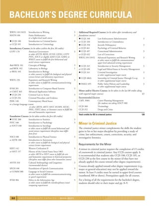 Bachelor of Science, Cybersecurity