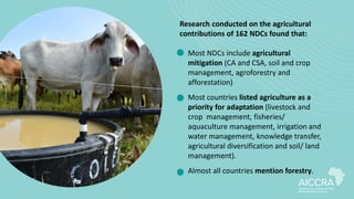Research conducted on the agricultural
contributions of 162 NDCs found that:
• Most NDCs include agricultural
mitigation (...