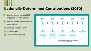 Enhancing farmer engagement in national climate policies: Advocay tools and approaches 
