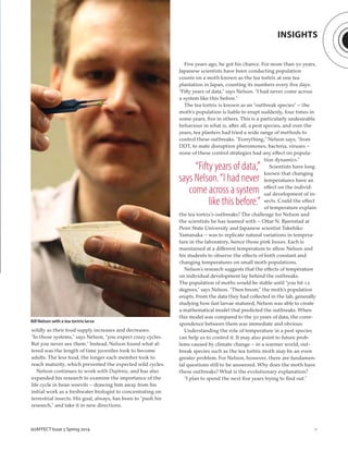 11
wildly as their food supply increases and decreases.
“In those systems,” says Nelson, “you expect crazy cycles.
But you never see them.” Instead, Nelson found what al-
tered was the length of time juveniles took to become
adults. The less food, the longer each member took to
reach maturity, which prevented the expected wild cycles.
Nelson continues to work with Daphnia, and has also
expanded his research to examine the importance of the
life cycle in bean weevils – drawing him away from his
initial work as a freshwater biologist to concentrating on
terrestrial insects. His goal, always, has been to “push his
research,” and take it in new directions.
Five years ago, he got his chance. For more than 50 years,
Japanese scientists have been conducting population
counts on a moth known as the tea tortrix at one tea
plantation in Japan, counting its numbers every ﬁve days.
“Fifty years of data,” says Nelson. “I had never come across
a system like this before.”
The tea tortrix is known as an “outbreak species” – the
moth’s population is liable to erupt suddenly, four times in
some years, ﬁve in others. This is a particularly undesirable
behaviour in what is, after all, a pest species, and over the
years, tea planters had tried a wide range of methods to
control these outbreaks. “Everything,” Nelson says, “from
DDT, to mate disruption pheromones, bacteria, viruses –
none of these control strategies had any effect on popula-
tion dynamics.”
Scientists have long
known that changing
temperatures have an
effect on the individ-
ual development of in-
sects. Could the effect
of temperature explain
the tea tortrix’s outbreaks? The challenge for Nelson and
the scientists he has teamed with – Ottar N. Bjørnstad at
Penn State University and Japanese scientist Takehiko
Yamanaka – was to replicate natural variations in tempera-
ture in the laboratory, hence those pink boxes. Each is
maintained at a different temperature to allow Nelson and
his students to observe the effects of both constant and
changing temperatures on small moth populations.
Nelson’s research suggests that the effects of temperature
on individual development lay behind the outbreaks.
The population of moths would be stable until “you hit 12
degrees,” says Nelson. “Then boom,” the moth’s population
erupts. From the data they had collected in the lab, generally
studying how fast larvae matured, Nelson was able to create
a mathematical model that predicted the outbreaks. When
this model was compared to the 50 years of data, the corre-
spondence between them was immediate and obvious.
Understanding the role of temperature in a pest species
can help us to control it. It may also point to future prob-
lems caused by climate change – in a warmer world, out-
break species such as the tea tortrix moth may be an even
greater problem. For Nelson, however, there are fundamen-
tal questions still to be answered. Why does the moth have
these outbreaks? What is the evolutionary explanation?
“I plan to spend the next ﬁve years trying to ﬁnd out.”
(e)AFFECT Issue 5 Spring 2014
“Fifty years of data,”
says Nelson.“I had never
come across a system
like this before.”
INSIGHTS
Bill Nelson with a tea tortrix larva
 