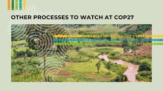 Enhancing farmer engagement in climate policy and COP27
