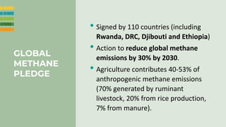 Enhancing farmer engagement in climate policy and COP27
