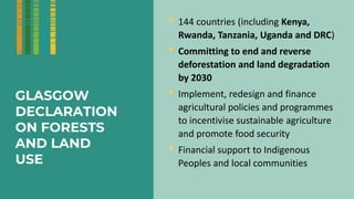 Enhancing farmer engagement in climate policy and COP27