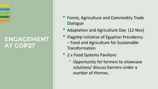 Enhancing farmer engagement in climate policy and COP27