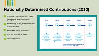 Enhancing farmer engagement in climate policy and COP27
