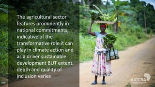 Enhancing farmer engagement in climate policy and COP27