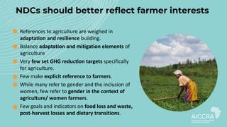 Enhancing farmer engagement in climate policy and COP27